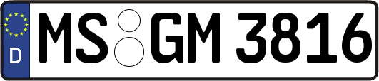 MS-GM3816