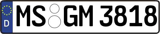 MS-GM3818