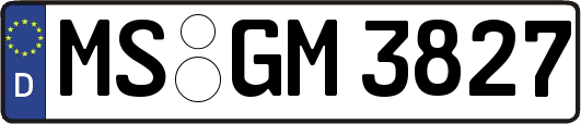 MS-GM3827