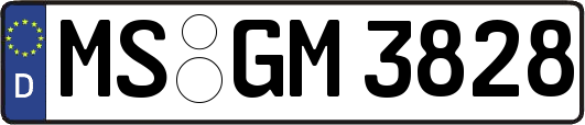 MS-GM3828