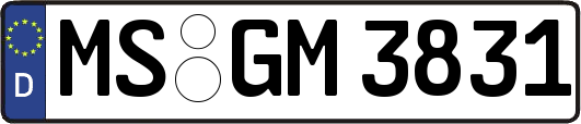 MS-GM3831