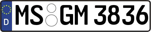 MS-GM3836