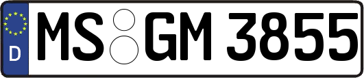 MS-GM3855