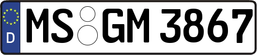 MS-GM3867