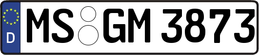 MS-GM3873