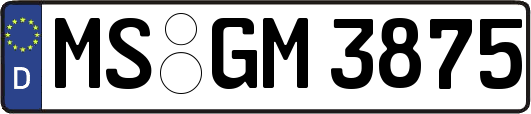 MS-GM3875