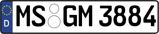 MS-GM3884