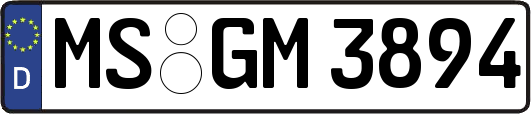 MS-GM3894