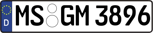 MS-GM3896