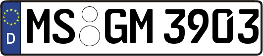 MS-GM3903