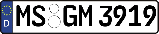 MS-GM3919