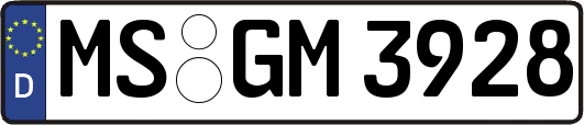 MS-GM3928