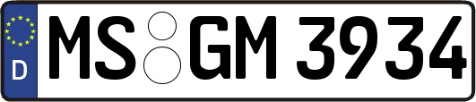 MS-GM3934