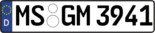 MS-GM3941