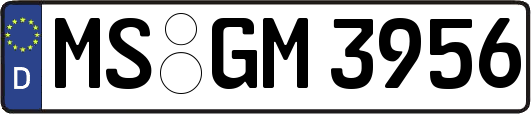 MS-GM3956