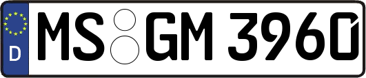 MS-GM3960