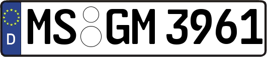 MS-GM3961