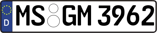 MS-GM3962