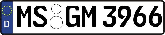 MS-GM3966