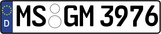MS-GM3976