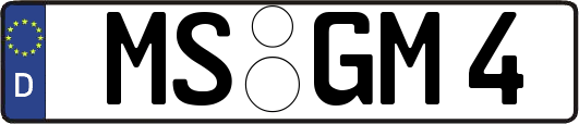 MS-GM4