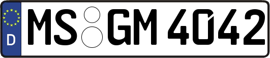 MS-GM4042