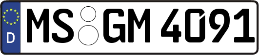 MS-GM4091