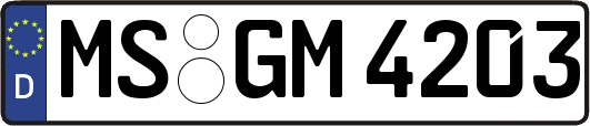 MS-GM4203