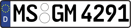 MS-GM4291