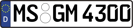 MS-GM4300