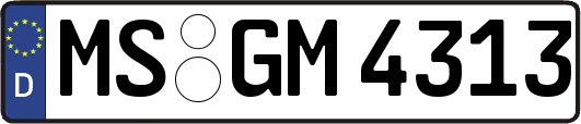 MS-GM4313