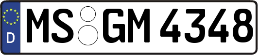 MS-GM4348