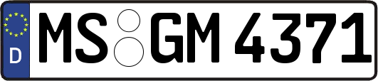 MS-GM4371