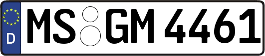 MS-GM4461