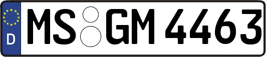 MS-GM4463