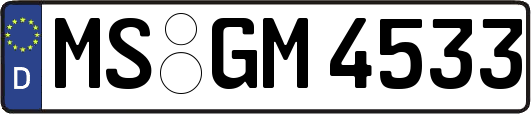 MS-GM4533