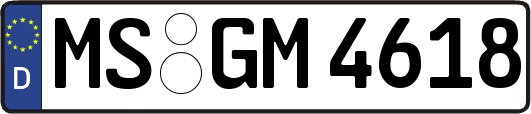 MS-GM4618