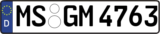 MS-GM4763
