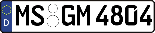 MS-GM4804
