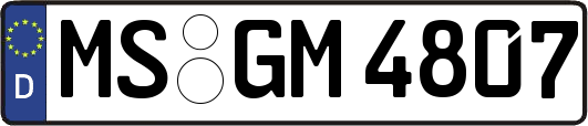 MS-GM4807