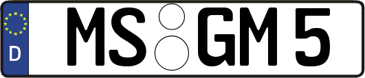 MS-GM5