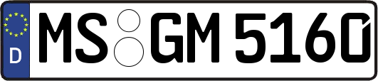 MS-GM5160