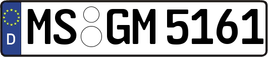 MS-GM5161
