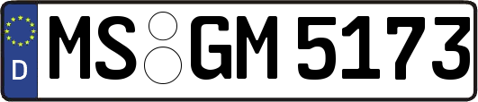 MS-GM5173