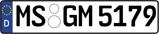MS-GM5179