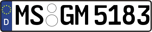 MS-GM5183