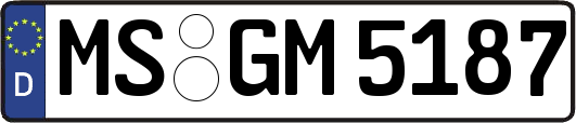 MS-GM5187