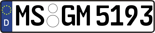MS-GM5193
