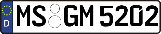 MS-GM5202