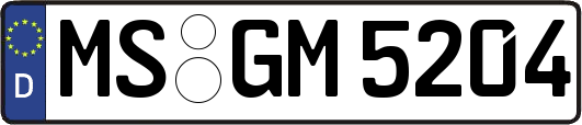 MS-GM5204